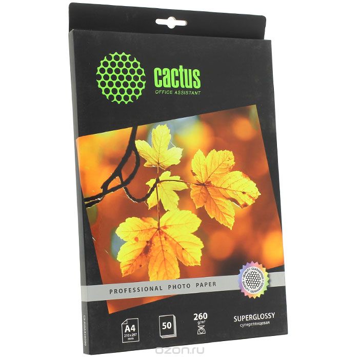 Cactus CS-HGA426050 Professional  